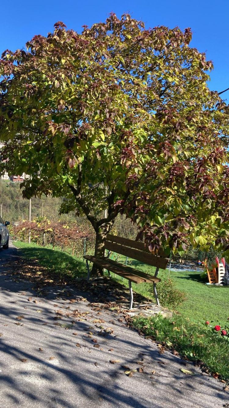 Cascina Uertigher Gorno Zewnętrze zdjęcie